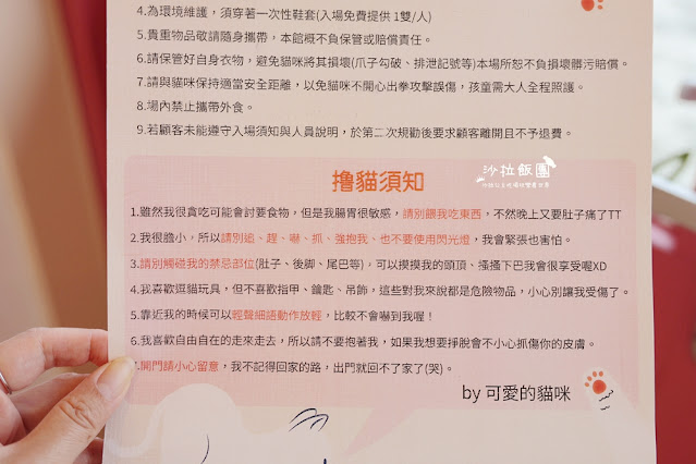 『擼LALA Sweets』宜蘭貓咪甜點咖啡 4 『擼LALA Sweets』宜蘭貓咪甜點咖啡