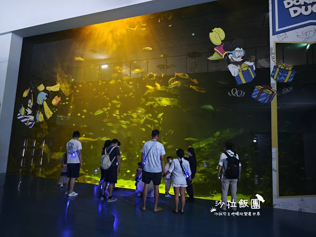 全台最頂級夜宿水族館!桃園和逸Blu Night宿海奇遇》Xpark住一晚 57 全台最頂級夜宿水族館!桃園和逸Blu Night宿海奇遇》Xpark住一晚