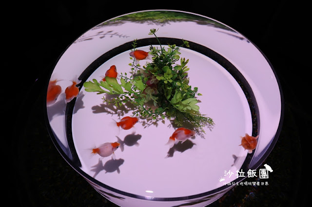 日本東京人氣展覽『金魚藝術展』璀璨登台 4 日本東京人氣展覽『金魚藝術展』璀璨登台