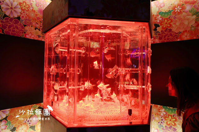 日本東京人氣展覽『金魚藝術展』璀璨登台 14 日本東京人氣展覽『金魚藝術展』璀璨登台