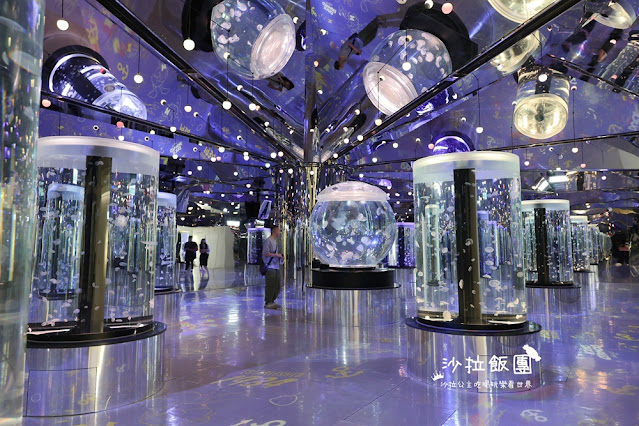 全台最頂級夜宿水族館!桃園和逸Blu Night宿海奇遇》Xpark住一晚 47 全台最頂級夜宿水族館!桃園和逸Blu Night宿海奇遇》Xpark住一晚