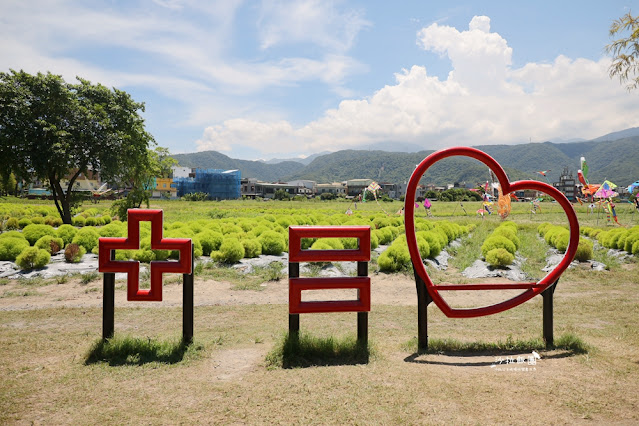 3000株日本波波草超療癒,台版羊角村、大碗公溜滑梯 18 3000株日本波波草超療癒,台版羊角村、大碗公溜滑梯