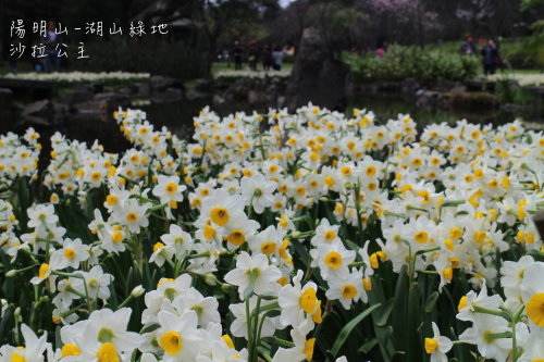 IMG_6542.JPG IMG_6542.JPG