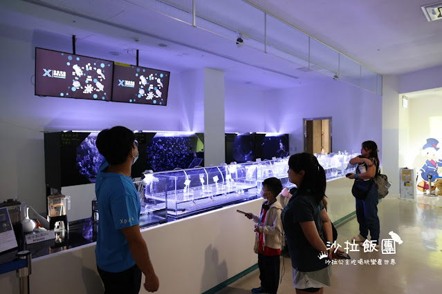 全台最頂級夜宿水族館!桃園和逸Blu Night宿海奇遇》Xpark住一晚 105 全台最頂級夜宿水族館!桃園和逸Blu Night宿海奇遇》Xpark住一晚
