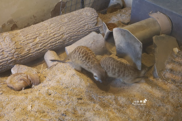 宜蘭住宿親子景點『綠舞國際觀光飯店』一泊二食住房 120 宜蘭住宿親子景點『綠舞國際觀光飯店』一泊二食住房