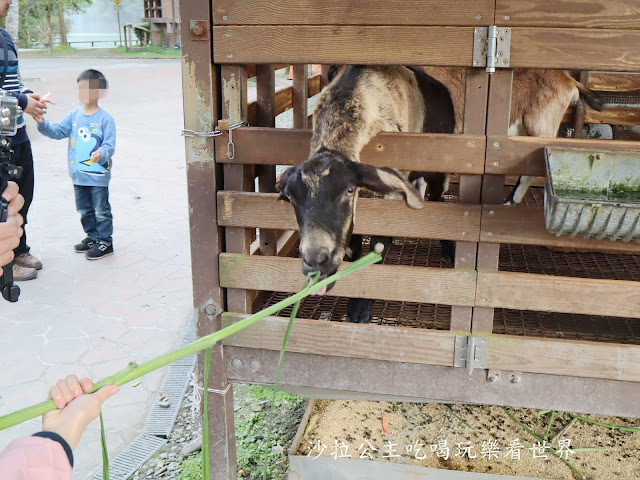 宜蘭親子免費景點『長埤湖風景區』宜蘭旅遊/一日遊景點/露營區/可愛動物 18 宜蘭親子免費景點『長埤湖風景區』宜蘭旅遊/一日遊景點/露營區/可愛動物