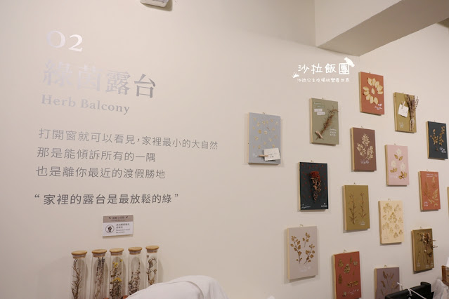 台中逢甲住宿.背包客『葉綠宿旅館』陪睡小盆栽 11 台中逢甲住宿.背包客『葉綠宿旅館』陪睡小盆栽