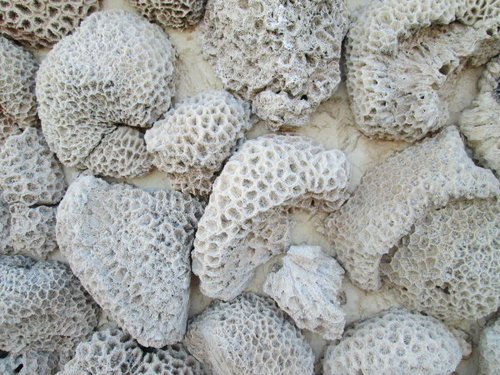 漫遊吉貝 13 漫遊吉貝