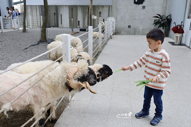 宜蘭景點黑RURU CAFE,來用餐還可以順便餵羊不用再找景點 31 宜蘭景點黑RURU CAFE,來用餐還可以順便餵羊不用再找景點