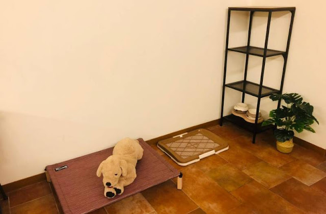 【寵物住宿】寵物友善飯店,毛小孩也要爽爽住 9 【寵物住宿】寵物友善飯店,毛小孩也要爽爽住