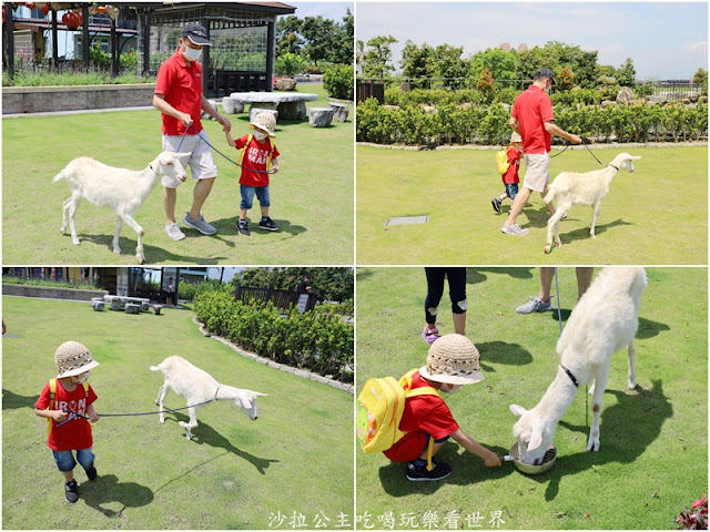 2500坪超狂親子民宿『親水89饗樂民宿』餵浣熊.溜羊.餵魚.餵兔子/大型磨石子溜滑梯/特斯拉充電站/有電梯 71 2500坪超狂親子民宿『親水89饗樂民宿』餵浣熊.溜羊.餵魚.餵兔子/大型磨石子溜滑梯/特斯拉充電站/有電梯