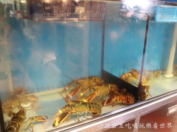 IMG_1464.JPG IMG_1464.JPG