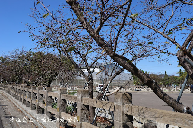 台中落羽松.后里泰安落羽松秘境『羽粼落羽松』裝置藝術像走到畫裡 3 台中落羽松.后里泰安落羽松秘境『羽粼落羽松』裝置藝術像走到畫裡