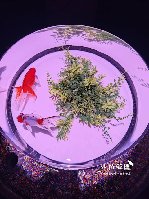 日本東京人氣展覽『金魚藝術展』璀璨登台 9 日本東京人氣展覽『金魚藝術展』璀璨登台