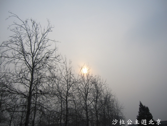 IMG_8132.JPG IMG_8132.JPG