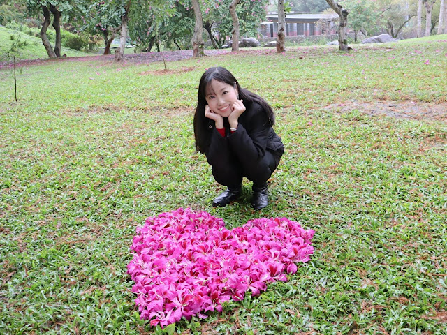 宜蘭羅東落羽松『羅東運動公園』冬季限定/宜蘭羅東景點 21 宜蘭羅東落羽松『羅東運動公園』冬季限定/宜蘭羅東景點