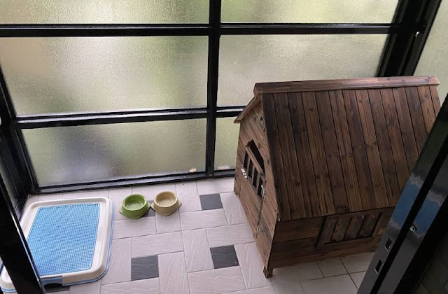 【寵物住宿】寵物友善飯店,毛小孩也要爽爽住 6 【寵物住宿】寵物友善飯店,毛小孩也要爽爽住