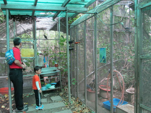 芝山文化生態綠園【士林】 31 芝山文化生態綠園【士林】