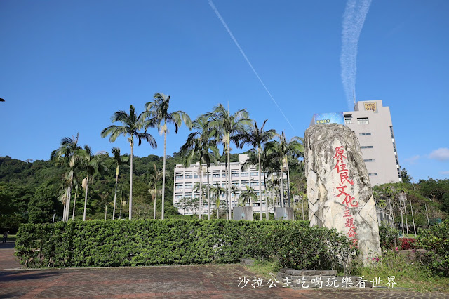 城市角落的秘境，一整排落羽松，美得低調又療癒