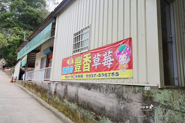 苗栗大湖草莓園推薦『最後一家得草莓園』超大奶油草莓人見人愛 4 苗栗大湖草莓園推薦『最後一家得草莓園』超大奶油草莓人見人愛