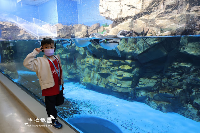 全台最頂級夜宿水族館!桃園和逸Blu Night宿海奇遇》Xpark住一晚 112 全台最頂級夜宿水族館!桃園和逸Blu Night宿海奇遇》Xpark住一晚