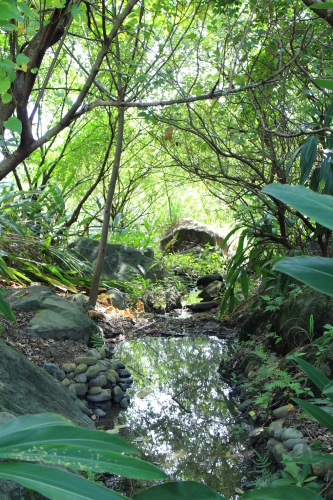 IMG_1180.jpg IMG_1180.jpg