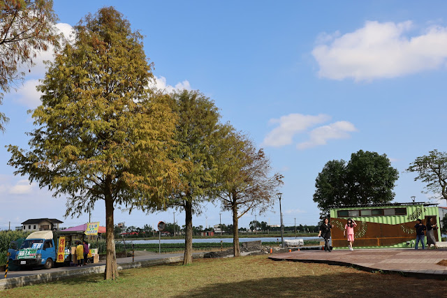 宜蘭三星景點『三星落羽松秘境』安農溪旁/宜蘭落羽松 3 宜蘭三星景點『三星落羽松秘境』安農溪旁/宜蘭落羽松