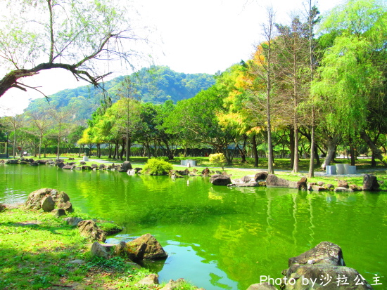 IMG_7065.jpg IMG_7065.jpg