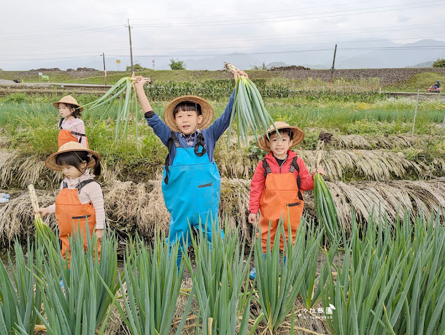 宜蘭親子景點『初咪體驗農場』拔三星蔥、、抓泥鰍、DIY創意蔥麵包體驗、沙坑 17 宜蘭親子景點『初咪體驗農場』拔三星蔥、、抓泥鰍、DIY創意蔥麵包體驗、沙坑