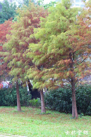 IMG_4110.jpg IMG_4110.jpg