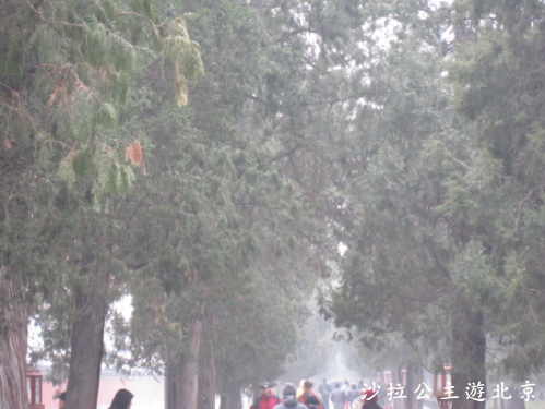 IMG_8037.JPG IMG_8037.JPG