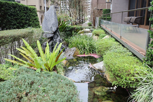 林口最美星巴克,櫻花爆開,人潮滿滿 15 林口最美星巴克,櫻花爆開,人潮滿滿