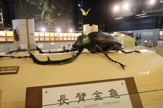嘉義親子景點『新嘉大昆蟲館』全球唯一旋轉彩蝶柱、蝴蝶溫室花園 54 嘉義親子景點『新嘉大昆蟲館』全球唯一旋轉彩蝶柱、蝴蝶溫室花園