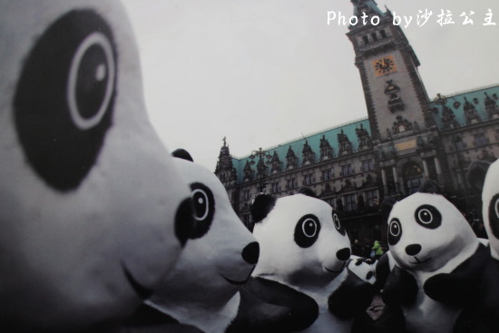 IMG_6591.jpg IMG_6591.jpg