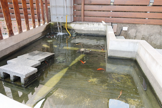 樹林美食『紅磚園邸』水豚、狐獴親子餐廳 6 樹林美食『紅磚園邸』水豚、狐獴親子餐廳