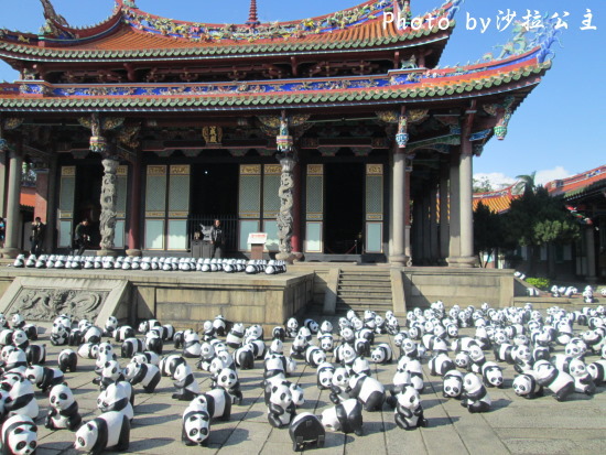 IMG_7343.jpg IMG_7343.jpg