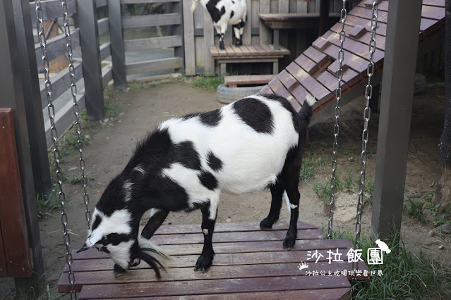 全台最頂級夜宿水族館!桃園和逸Blu Night宿海奇遇》Xpark住一晚 119 全台最頂級夜宿水族館!桃園和逸Blu Night宿海奇遇》Xpark住一晚