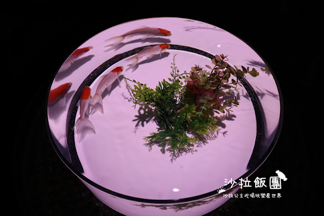 日本東京人氣展覽『金魚藝術展』璀璨登台 8 日本東京人氣展覽『金魚藝術展』璀璨登台
