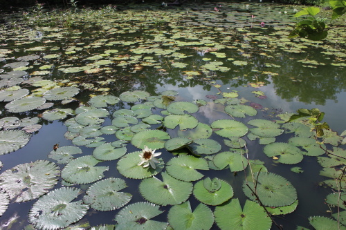 IMG_1158.jpg IMG_1158.jpg