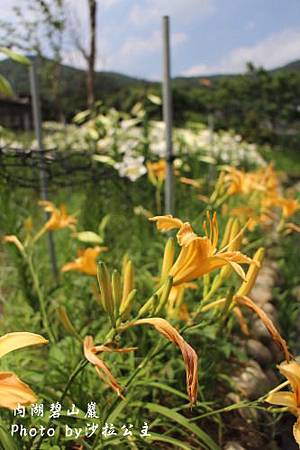 IMG_9504.jpg IMG_9504.jpg