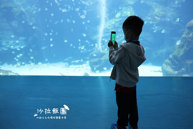 全台最頂級夜宿水族館!桃園和逸Blu Night宿海奇遇》Xpark住一晚 32 全台最頂級夜宿水族館!桃園和逸Blu Night宿海奇遇》Xpark住一晚