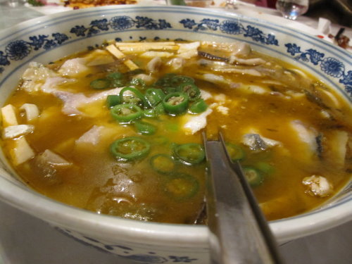 俏江南川菜風味【上海】 12 俏江南川菜風味【上海】