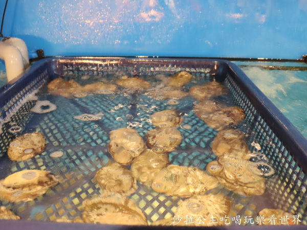 IMG_1465.JPG IMG_1465.JPG