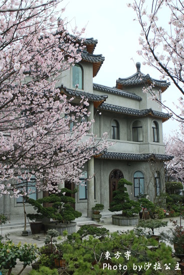 IMG_7046.jpg IMG_7046.jpg