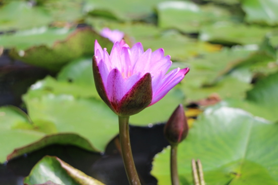 IMG_1153.jpg IMG_1153.jpg