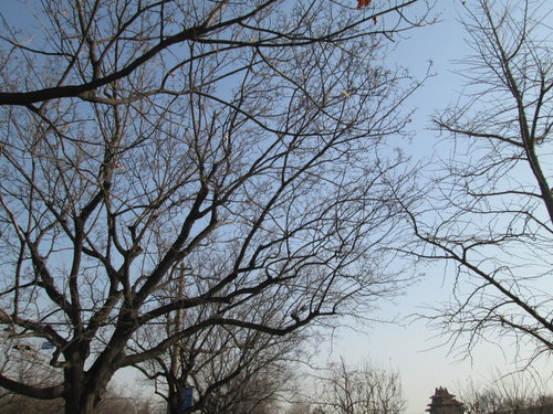 北京旅遊/北京景點『紫禁城』北京故宮 46 北京旅遊/北京景點『紫禁城』北京故宮