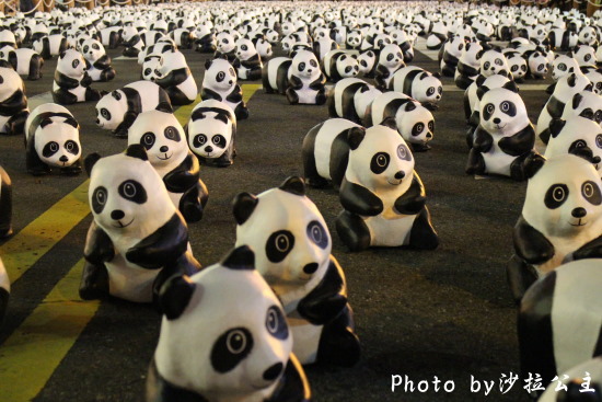 IMG_6542.jpg IMG_6542.jpg