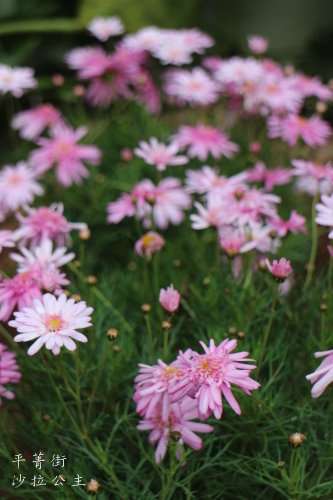 IMG_4046.JPG IMG_4046.JPG