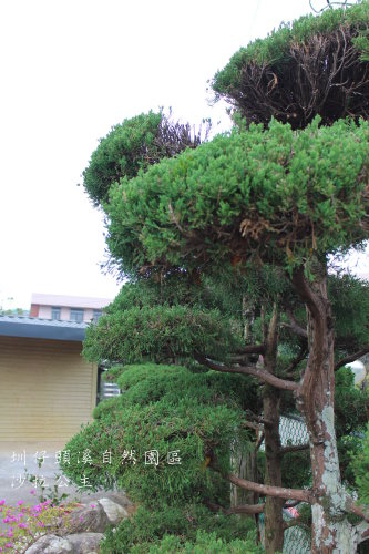 IMG_4045.JPG IMG_4045.JPG