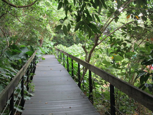 芝山文化生態綠園【士林】 2 芝山文化生態綠園【士林】